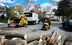 Monroe, OH Tree Services Company